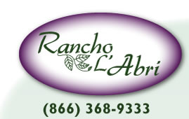 ranchlabri